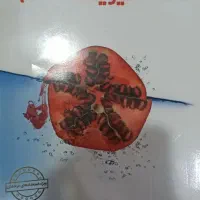 فیزیک و زیست پایه هشتم علامه حلی