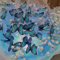 بوکت پروانه