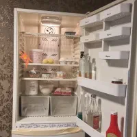 فروش یخچال الگانس