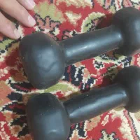 ۲ عدد دنبل ۲ کیلویی|تجهیزات ورزشی|بیلوار, |دیوار