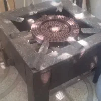 پلوپز بزرگ سالم