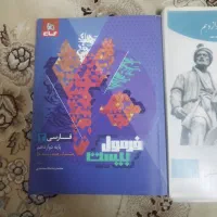 فرمول بیست فارسی جزوه درسی فلسفه فارسی سلامت