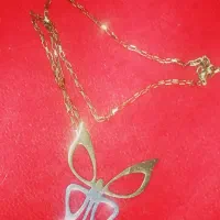 پلاک و زنجیر