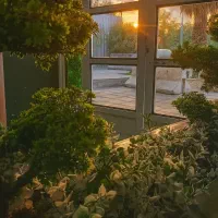 استخدام کافه فست فود|استخدام خدمات فروشگاه و رستوران|اهواز, عامری|دیوار