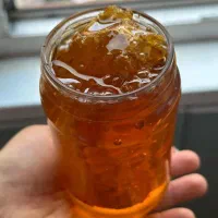 عسل کوهی وحشی