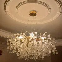 لوستر پینترسی درختی