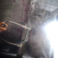 قیمت توافقی