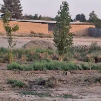 سیصد متر زمین داخل بافت جاده ارم بو فیلستان