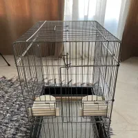 قفس پرنده