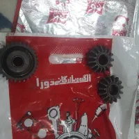 دیشلی و دند عقب و  ا نت پ  را  ید