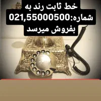 فروط خط ثابت رند طلائی
