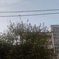 اجاره-مغازه-به-متراژ-120متر-به-صورت-سالنی-هست