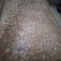 دو عدد فرش ۱ ساله استفاده شده درحد قیمت پایین|فرش|مشهد, عباس‌آباد|دیوار