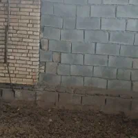 کودمیش|گل و گیاه طبیعی|شوشتر, |دیوار