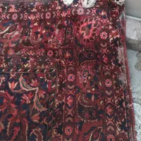 قالی 9متری دست بافت|فرش|اصفهان, فردوان|دیوار