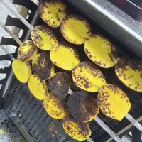 سیبزمینی پز مرغ پز بدون دود