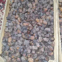 خرما بریم تمیز