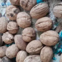 گردوباپوست موجودکیلو370|خوردنی و آشامیدنی|بهشهر, |دیوار