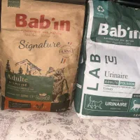 غذا خشک گربه برند بامبین