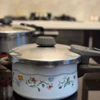 زودپز فیسلر