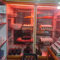 یخچال ایستاده