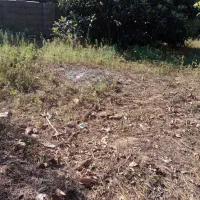 ۲۰۰شهری مسکونی فروش فوری زیر قیمت گورابزرمیخ|فروش زمین و ملک کلنگی|گوراب زرمیخ, |دیوار