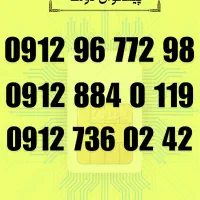 09125663907
