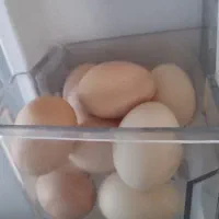 تخم مرغ محلی