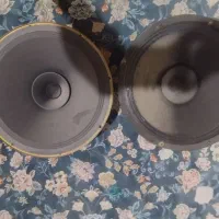 سیستم میدرنج سایز 12