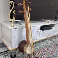 کمانچه|سازهای سنتی|بروجرد, |دیوار