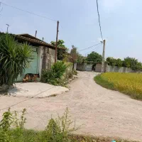 ویلا باغ ۳۳۰متری بافت   دابودشت