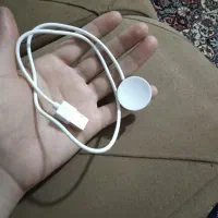 ساعت اپل واچ|ساعت|شیراز, شیخ علی چوپان|دیوار