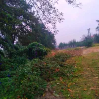 فروش-زمین-250متری-چالوس