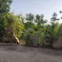 باغچه|فروش زمین و ملک کلنگی|اسلام‌شهر, کاشانک|دیوار