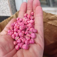 بذر نخود فرنگی زودرس‌کولکشار مجارستانی پلم