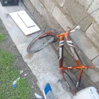 دوچرخه|دوچرخه، اسکیت، اسکوتر|میناب, |دیوار