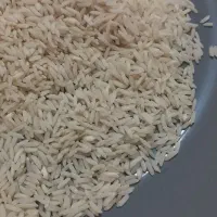 برنج هاشمی اعلا حراج