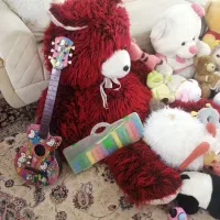 عروسک های پولیشی