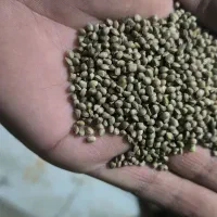 پخش دان پرندگان