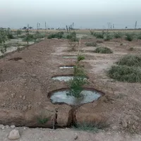 باغ ۲ ساله    ۳۶۷ متری|فروش دفتر صنعتی، کشاورزی، تجاری|جوادآباد, |دیوار