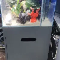 آکواریوم بک سامپ ۶۰ *45*45 با پایه مقاوم