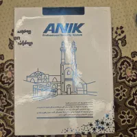دزدگیر اماکن آنیک