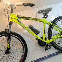 دوچرخه ویوا پونتو اصل