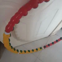 حلقه ورزشی لاغری