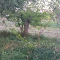 زمین تجاری مزویرآباد