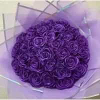 گل روبانی بنفش شاین‌دار