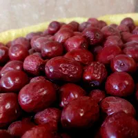 خشکبار زرشک عناب خاکشیرنیشابور|عمدهفروشی|مشهد, عیدگاه|دیوار