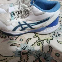 کفش والیبال|کیف، کفش، کمربند|گلبهار, شهر جدید گلبهار|دیوار