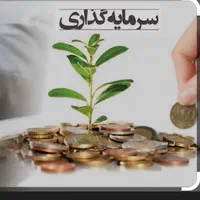 جذب سرمایه گذار|خدمات مالی، حسابداری، بیمه|تهران, اختیاریه|دیوار