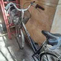 محمد اباد|دوچرخه، اسکیت، اسکوتر|مشهد, محمدآباد|دیوار